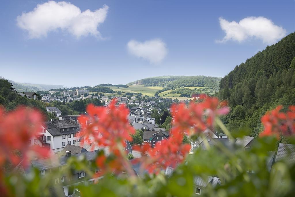 Café Alt Willingen Appartement Kamer foto